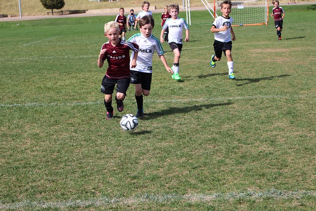 们接下来的 们接下来的