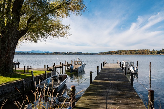 他们需要在 他们需要在