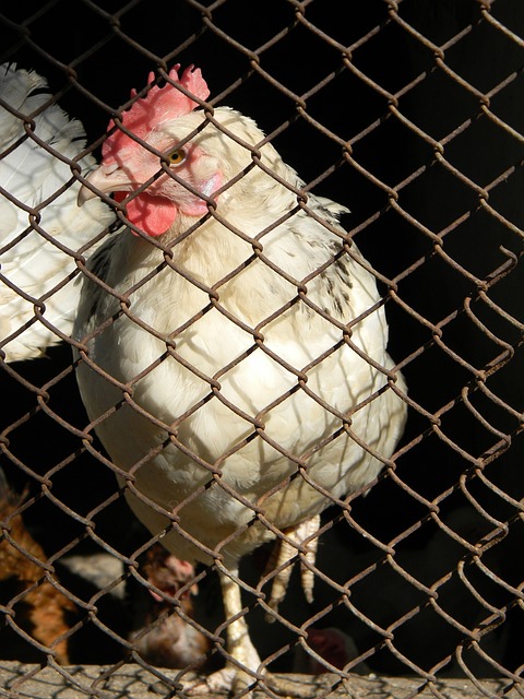 千万级别的 千万级别的