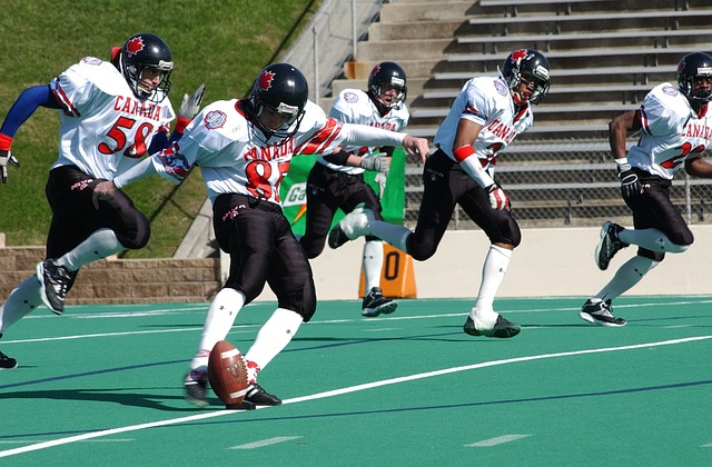 曼城主帅马 曼城主帅马