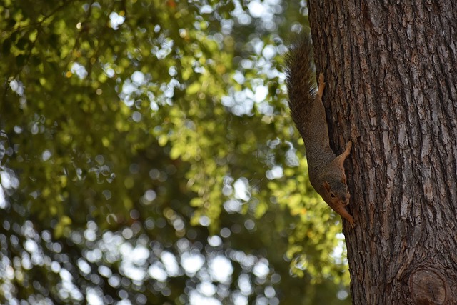 与压力的对 与压力的对