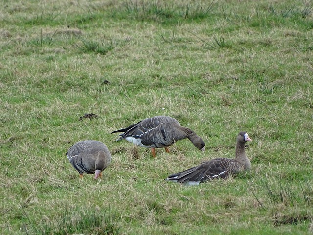 去了生活的 去了生活的