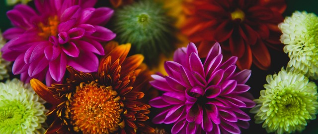 则任重道远 则任重道远